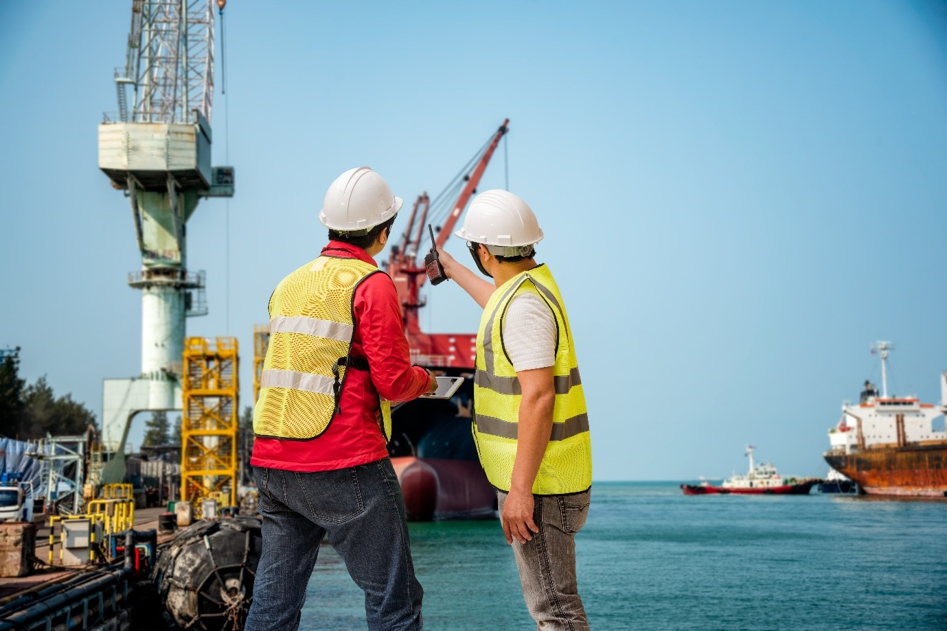 marlin men working together port logistics