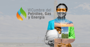 cumbre del petroleo india
