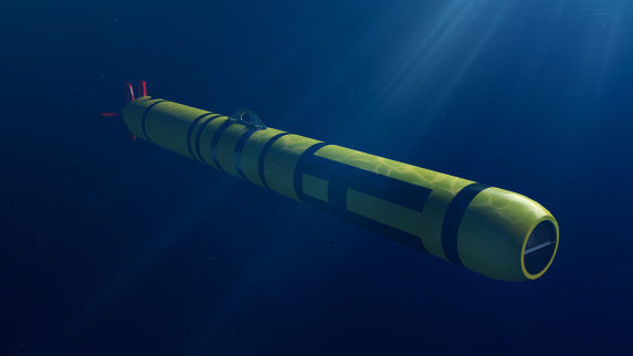 Vector sensors for underwater operations
