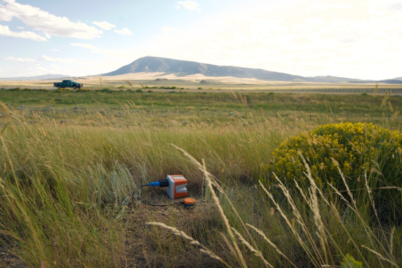 WiNG AFU Geophone Sercel