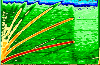 SGA software screen land